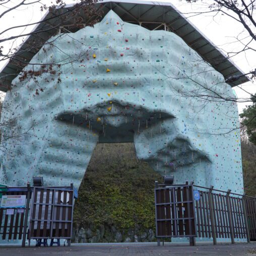 Pangyo Lead Climbing Wall – 판교인공암벽장